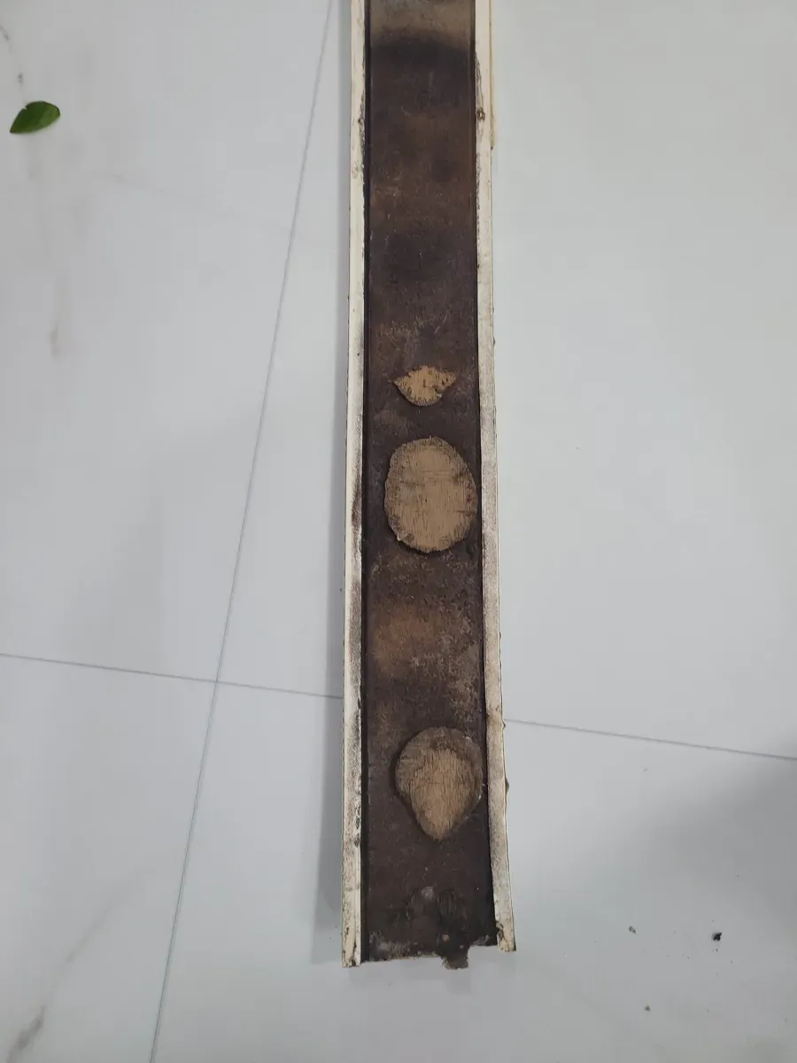 물먹어 검게 썩은 몰딩 속 단면